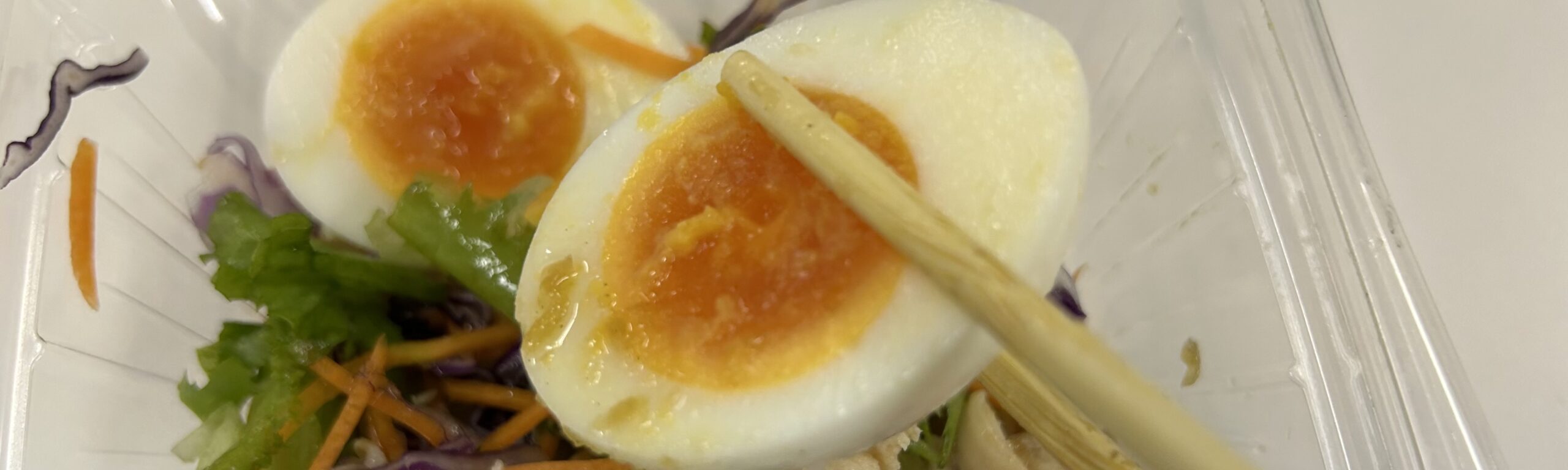 食べきるのが大変なくらい満足感があった話