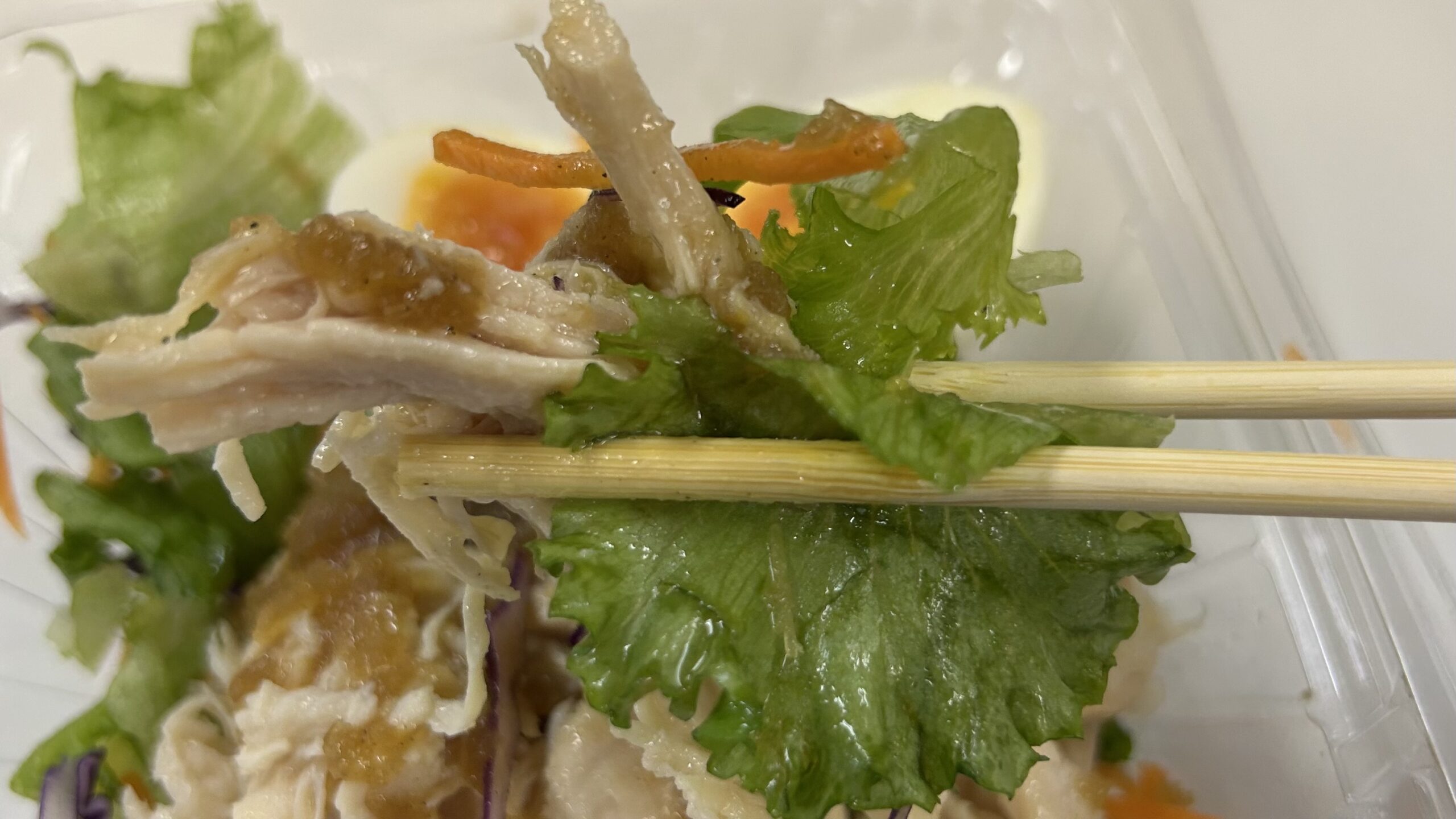 食べきるのが大変なくらい満足感があった話