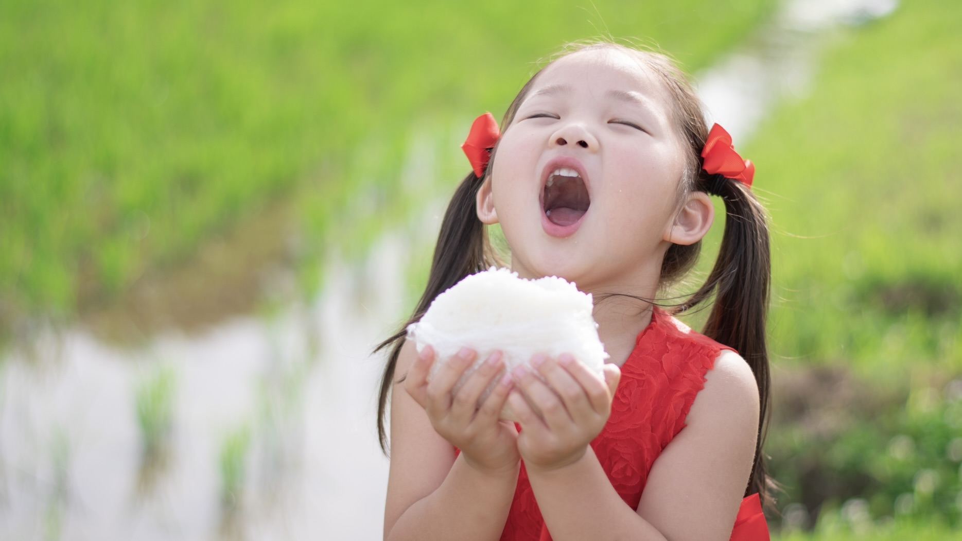 園内でこっそり食べる人の実態