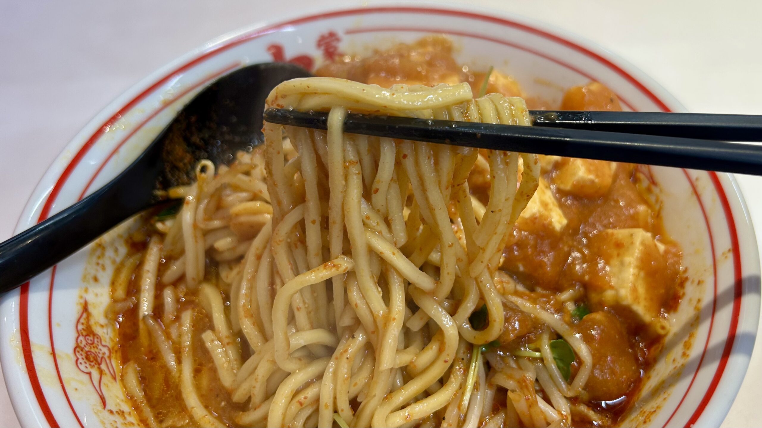 スープは再現度高し、でも麺と具材はやっぱり別格だった