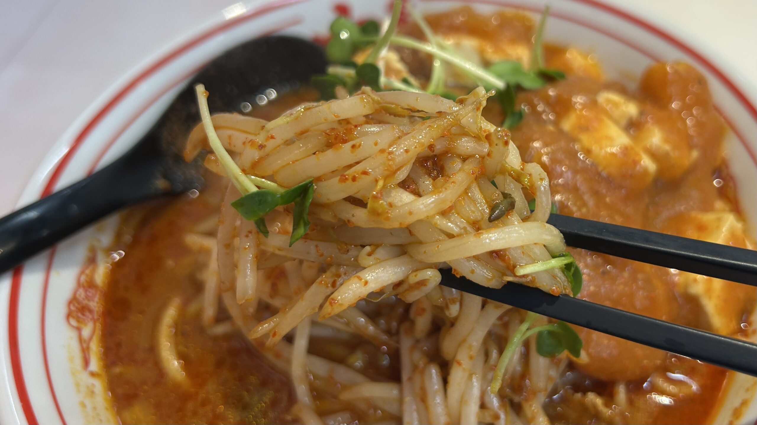 スープは再現度高し、でも麺と具材はやっぱり別格だった