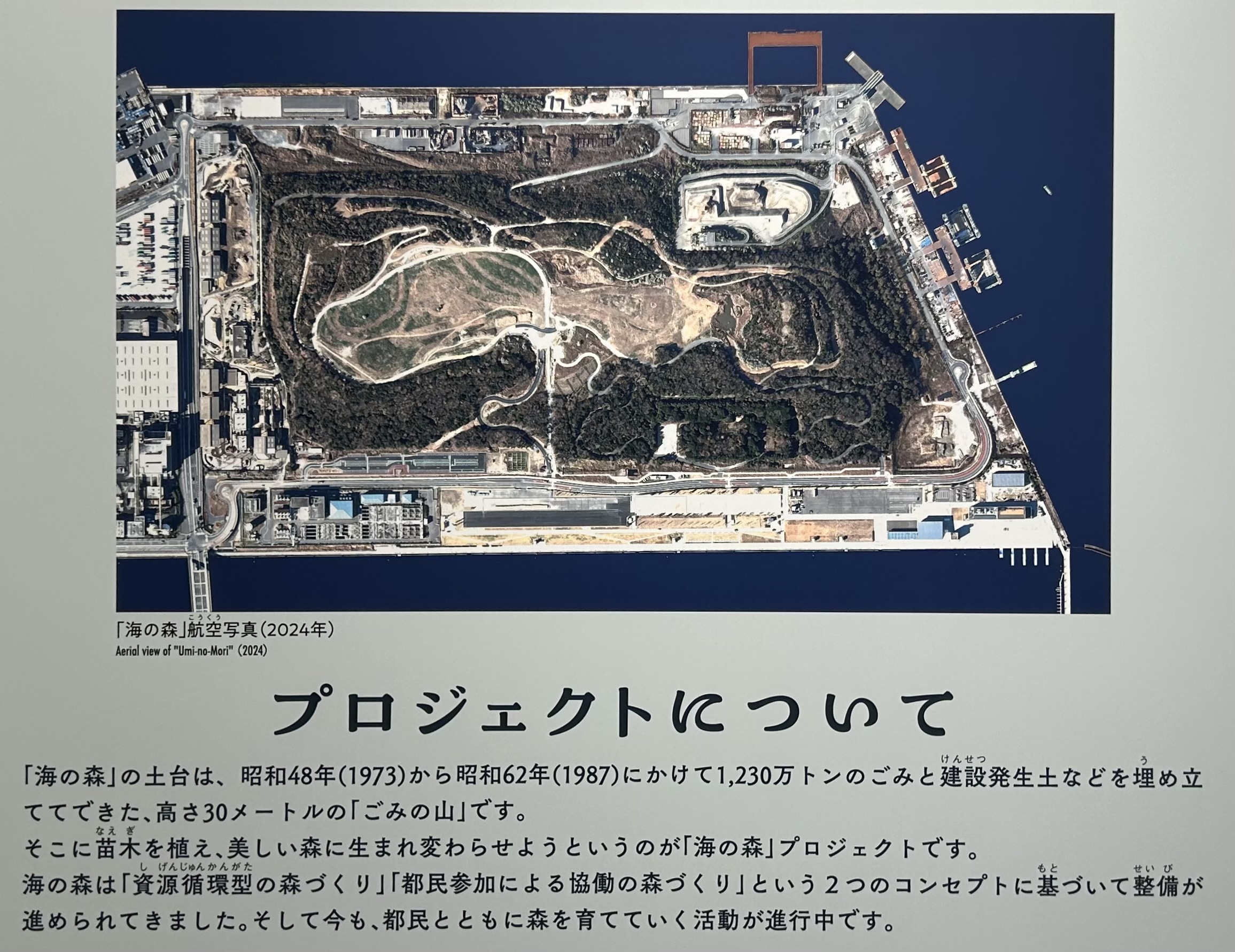 最後は子どもたちの公園になることもある