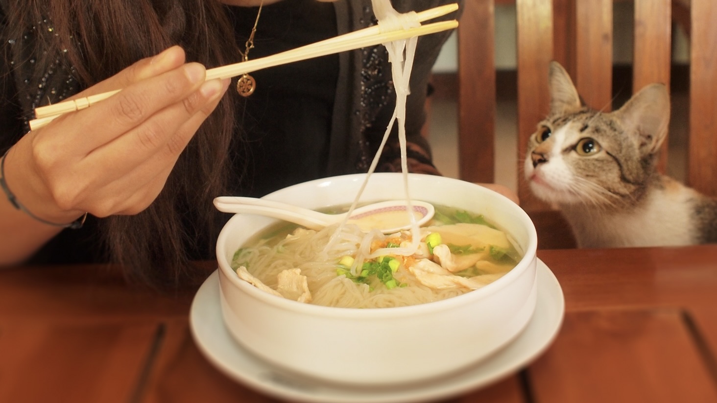 麺を噛み切ると見た目が悪くなる