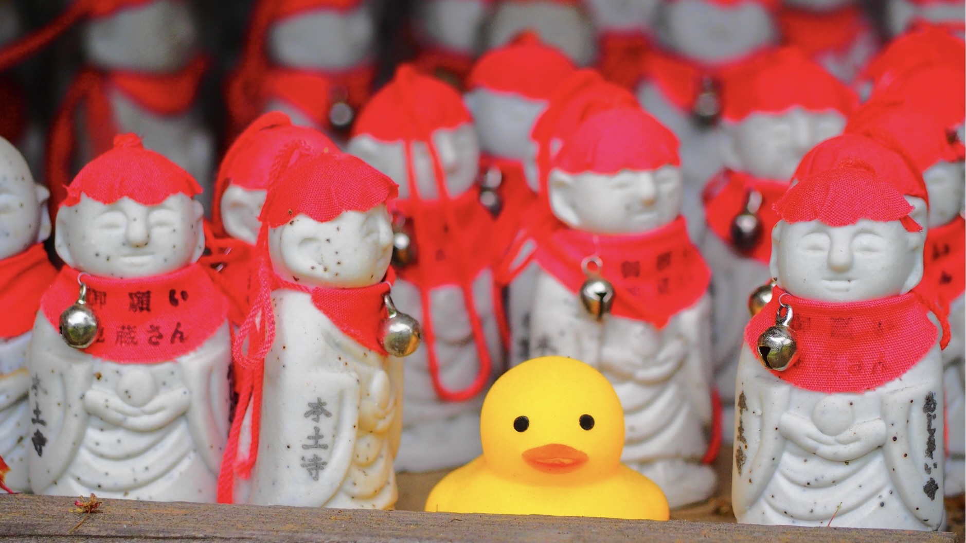 幸せとは何かを自分の人生から探る
