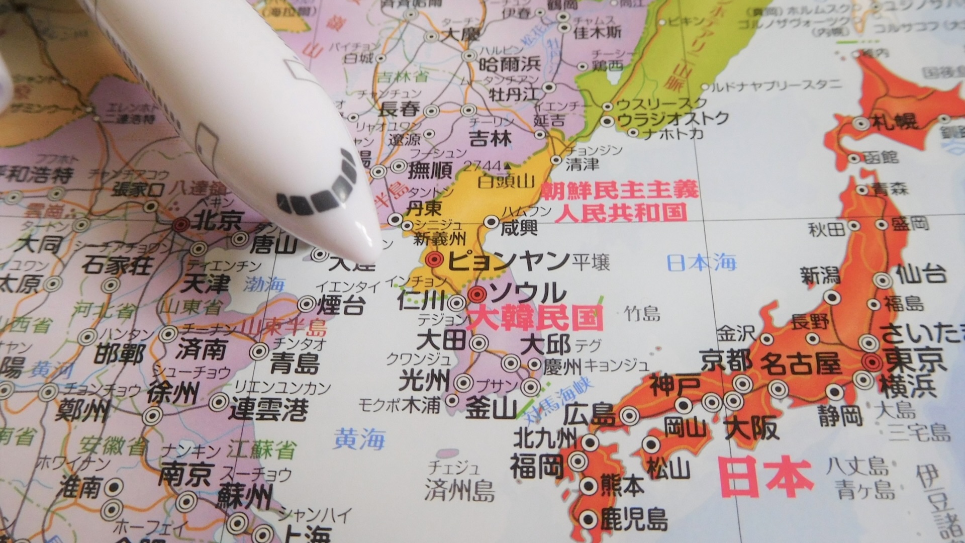 国内市場と輸出前提で分かれる戦略の方向性
