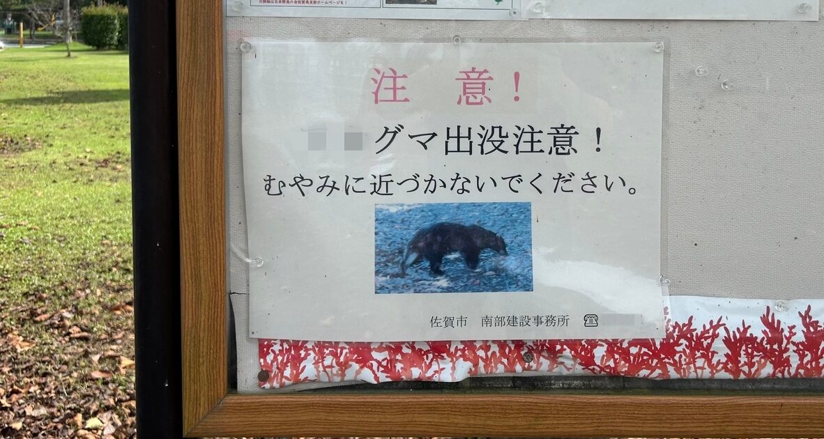 九州の熊はいつ絶滅したのか：消えた理由と佐賀で見かけた「○○グマ出没注意！」