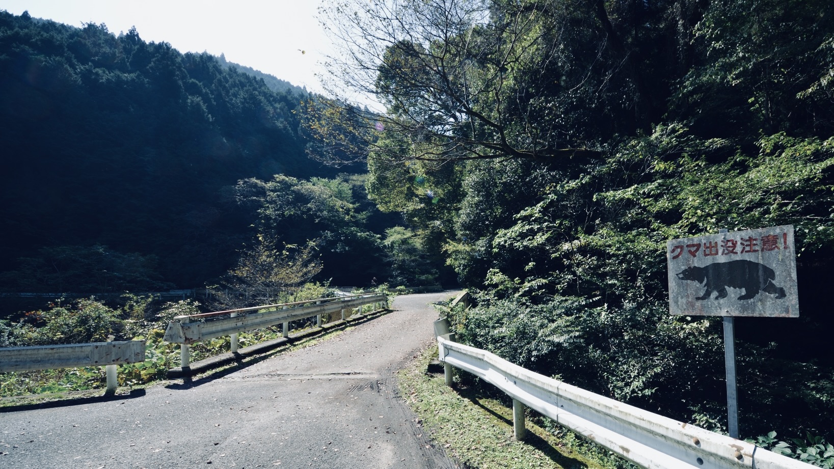 なぜ九州のクマは絶滅してしまったのか?