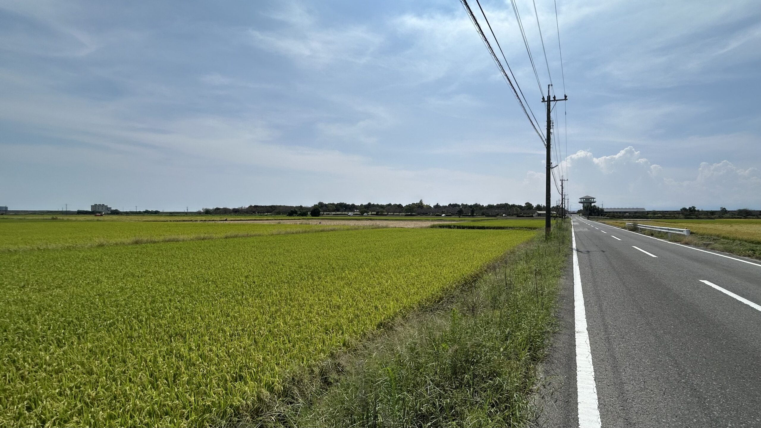 干拓地と佐賀平野：レモンタルトのグラデーション