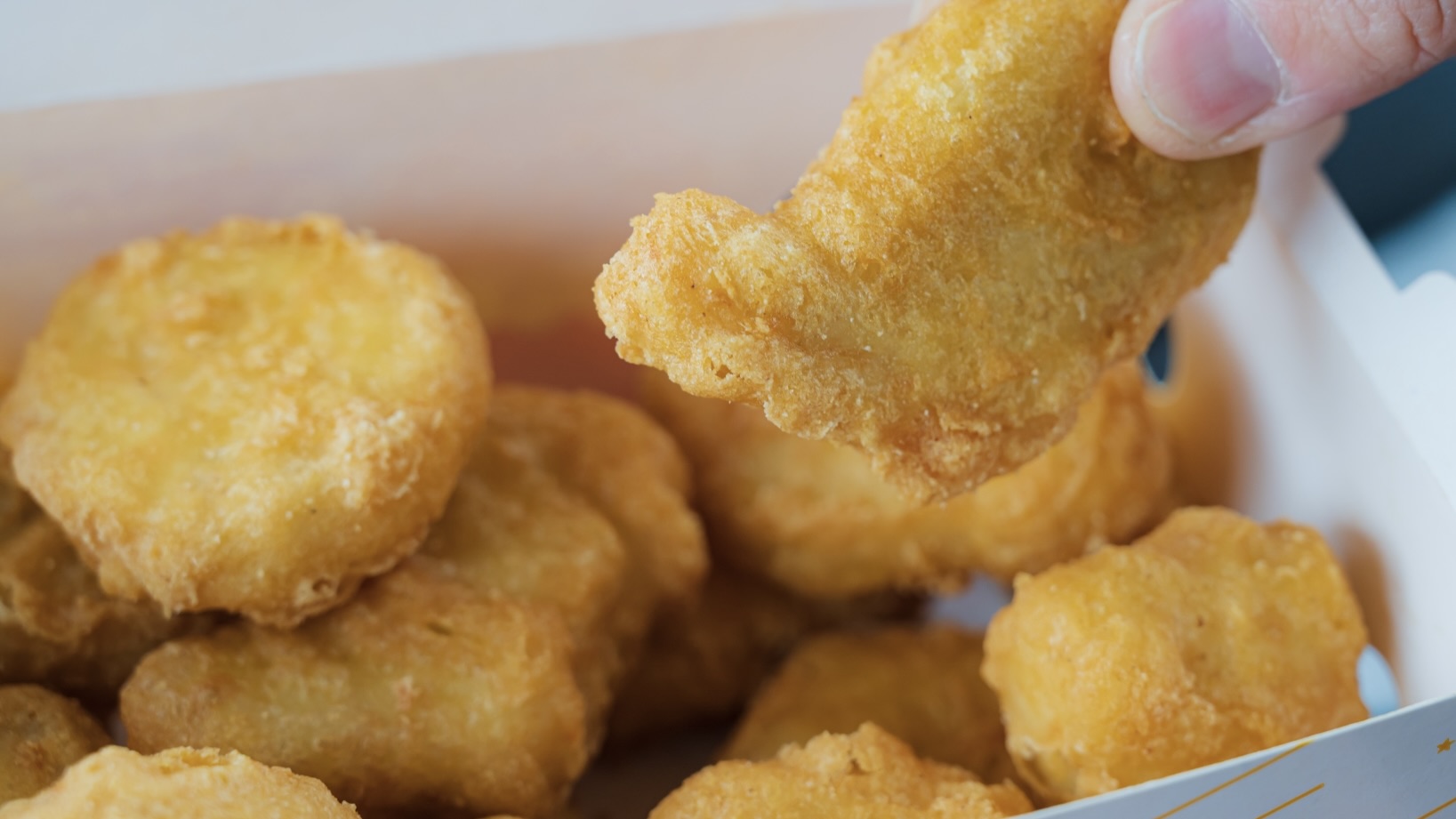 揚げ物が食べたい時 足りない栄養素とは？：欲求のサインをゆるく読み解く