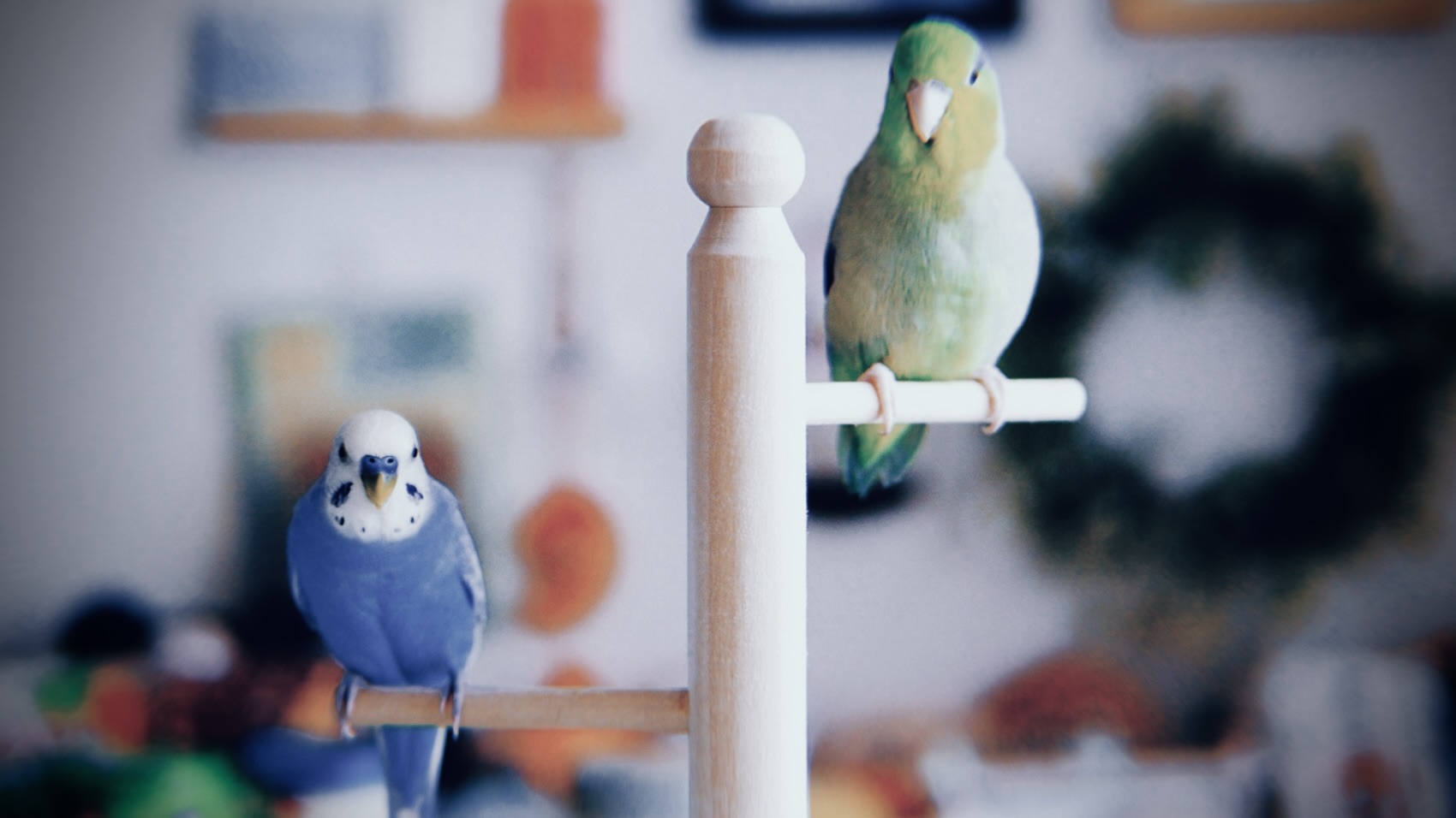 関係性のフェーズが変わっただけ