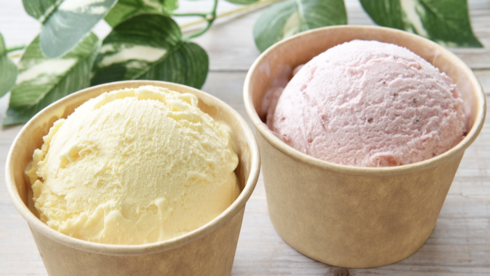 アイスクリーム系