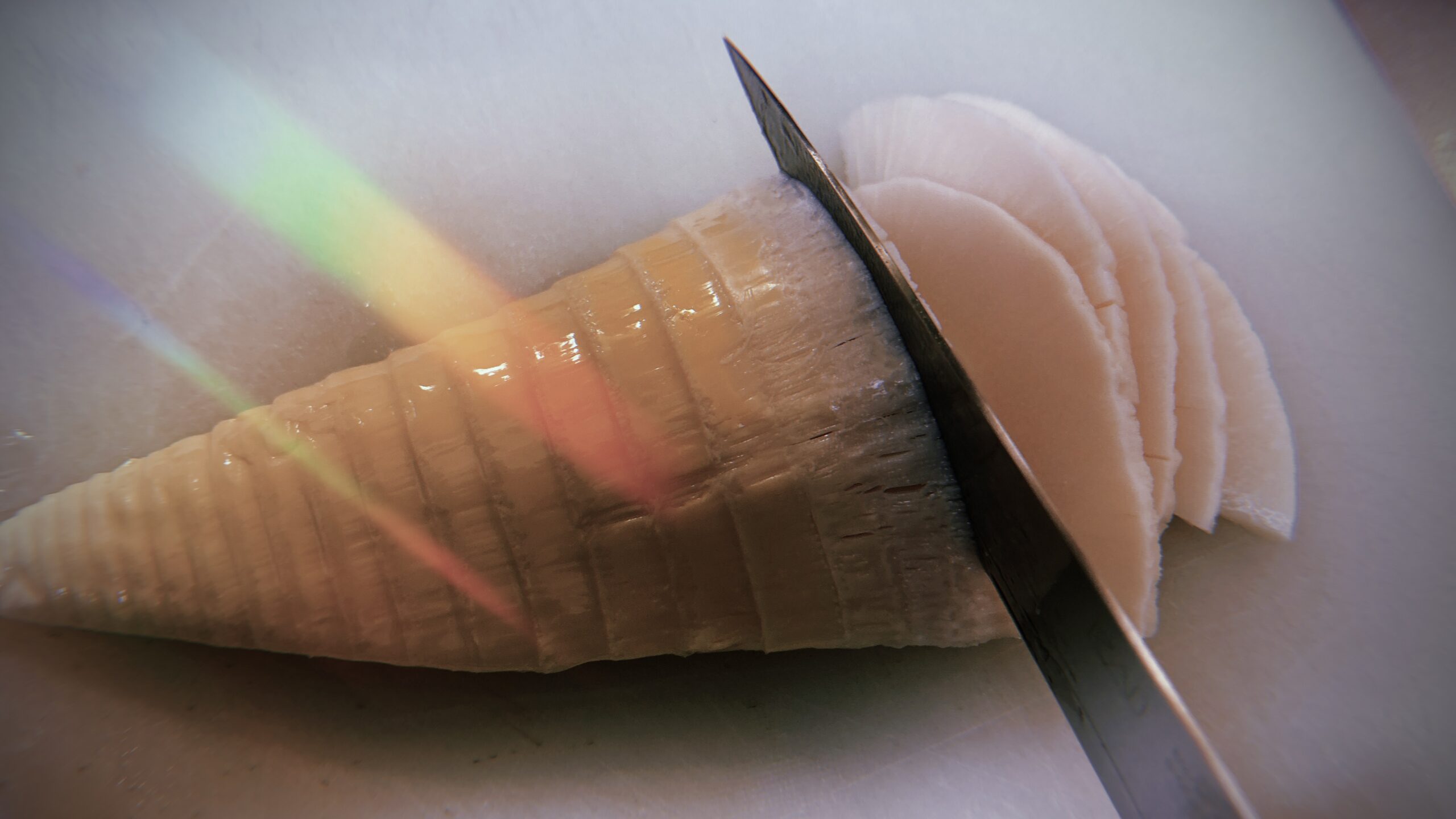 中華は結局「豚と脂とタケノコ」で決まる