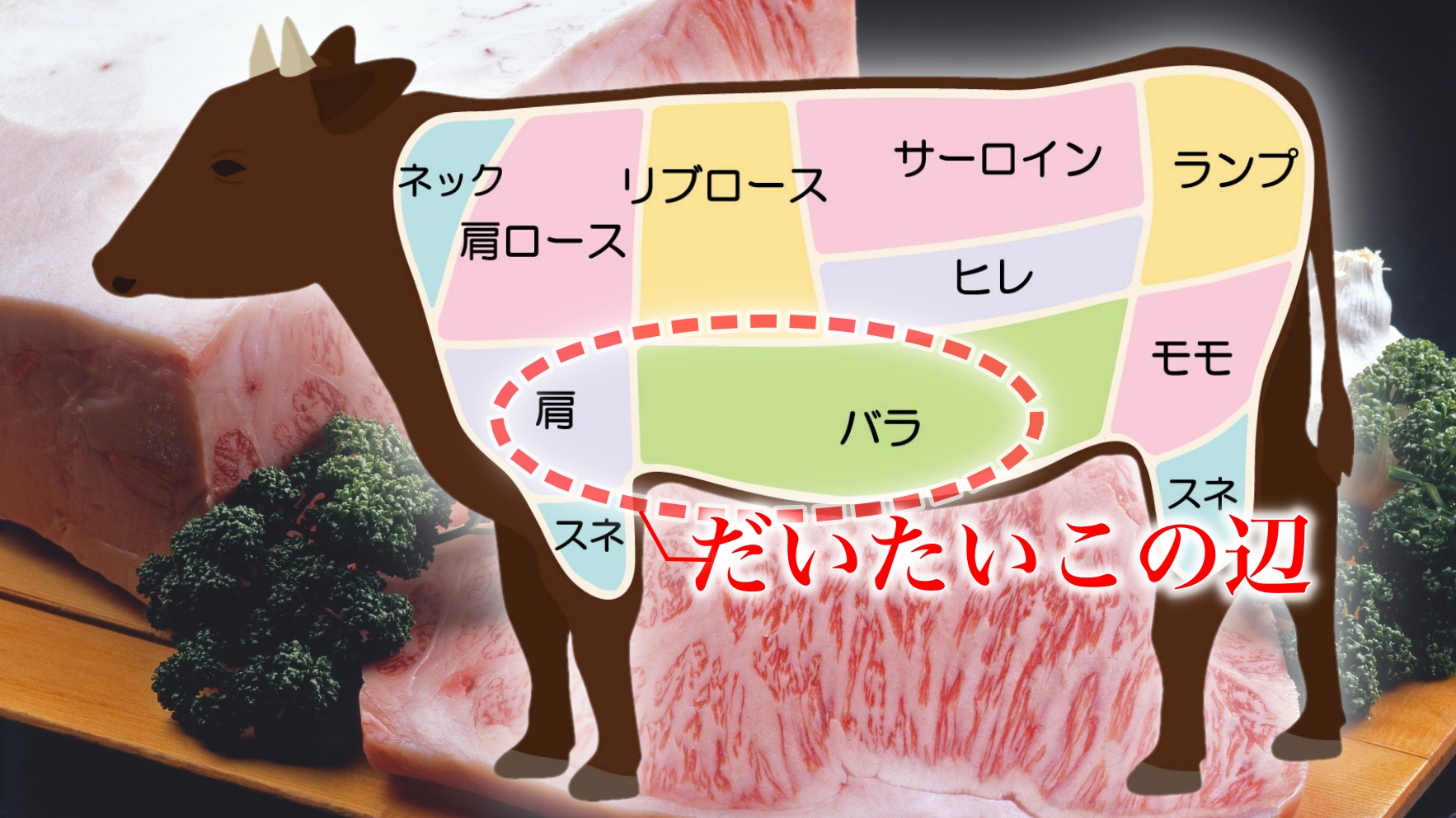 カルビとは「どこの部位」なのか?
