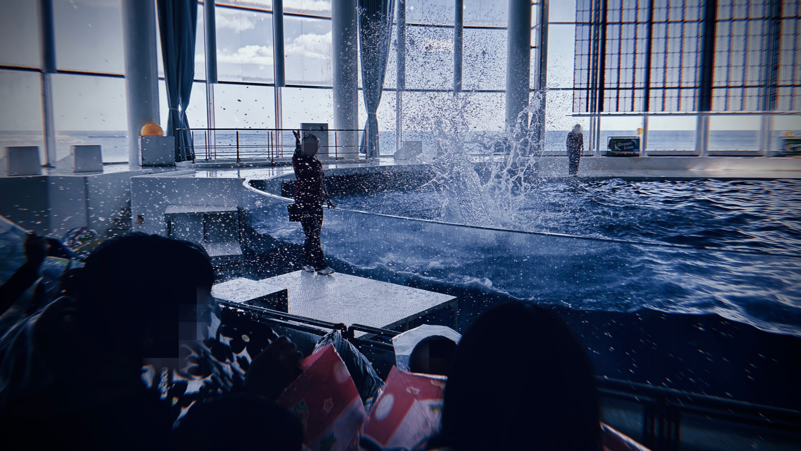 アクアワールド大洗のイルカショーは濡れるのか？：席選びと覚悟のリアルな話