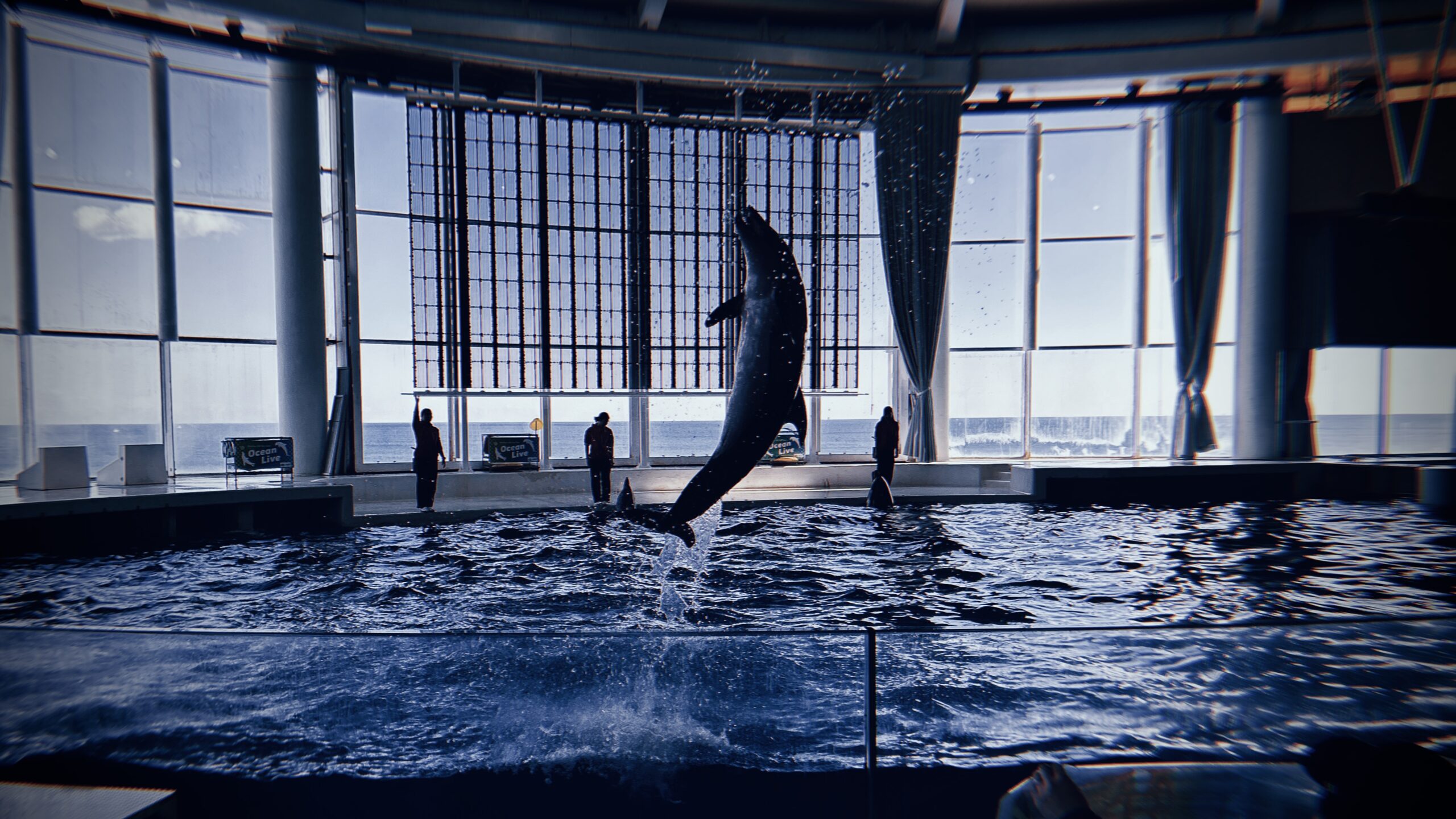 4列目で観たときの「リアルな濡れ方」