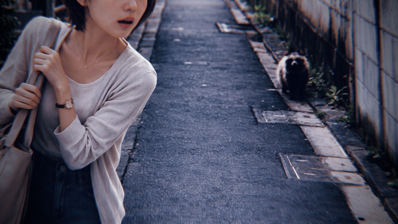 短編スマホ小説：足立区でタヌキを見た日、私はひとつの恋と誤解に気づいた。