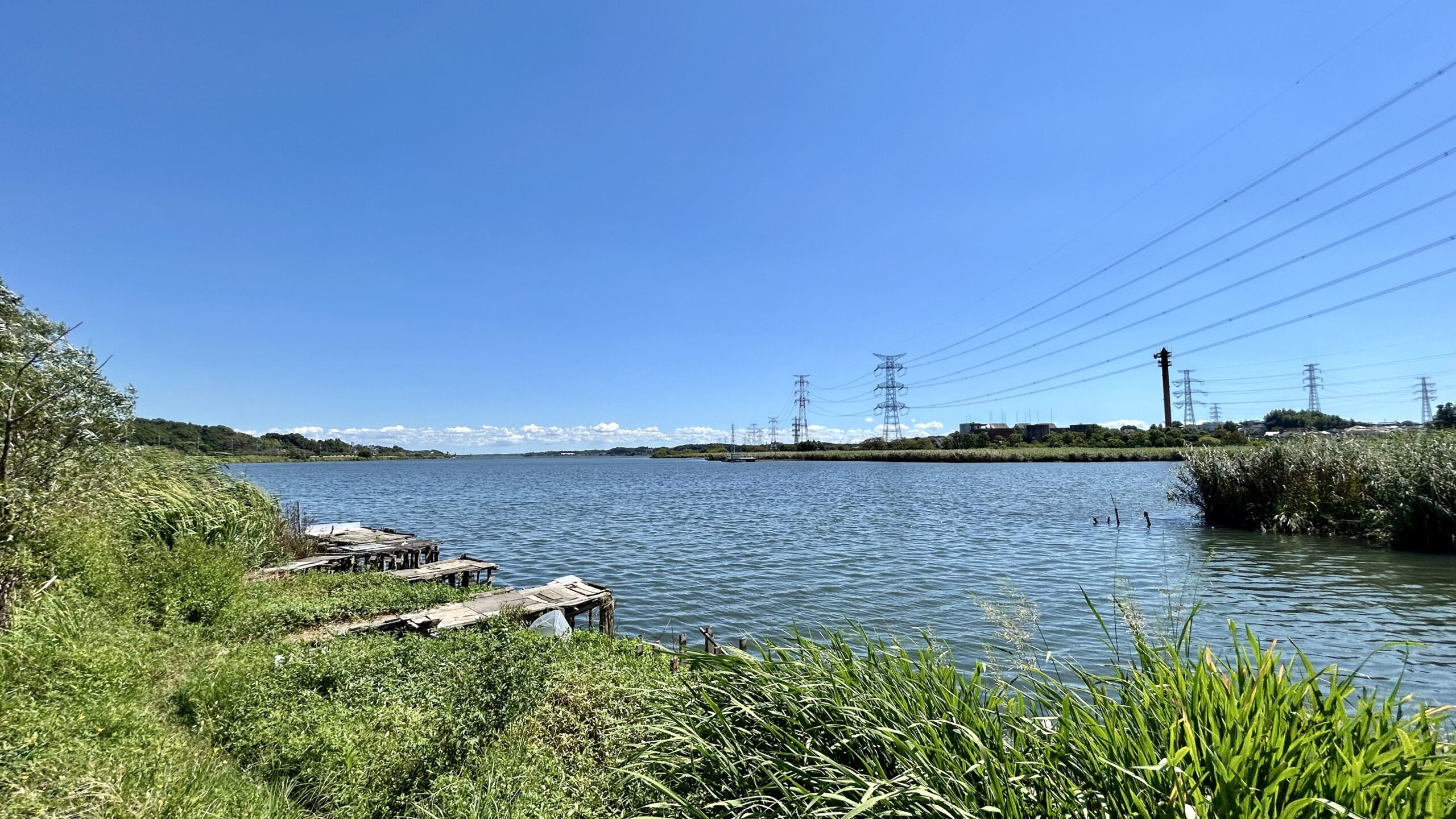 これってどんな人が書いてるの？