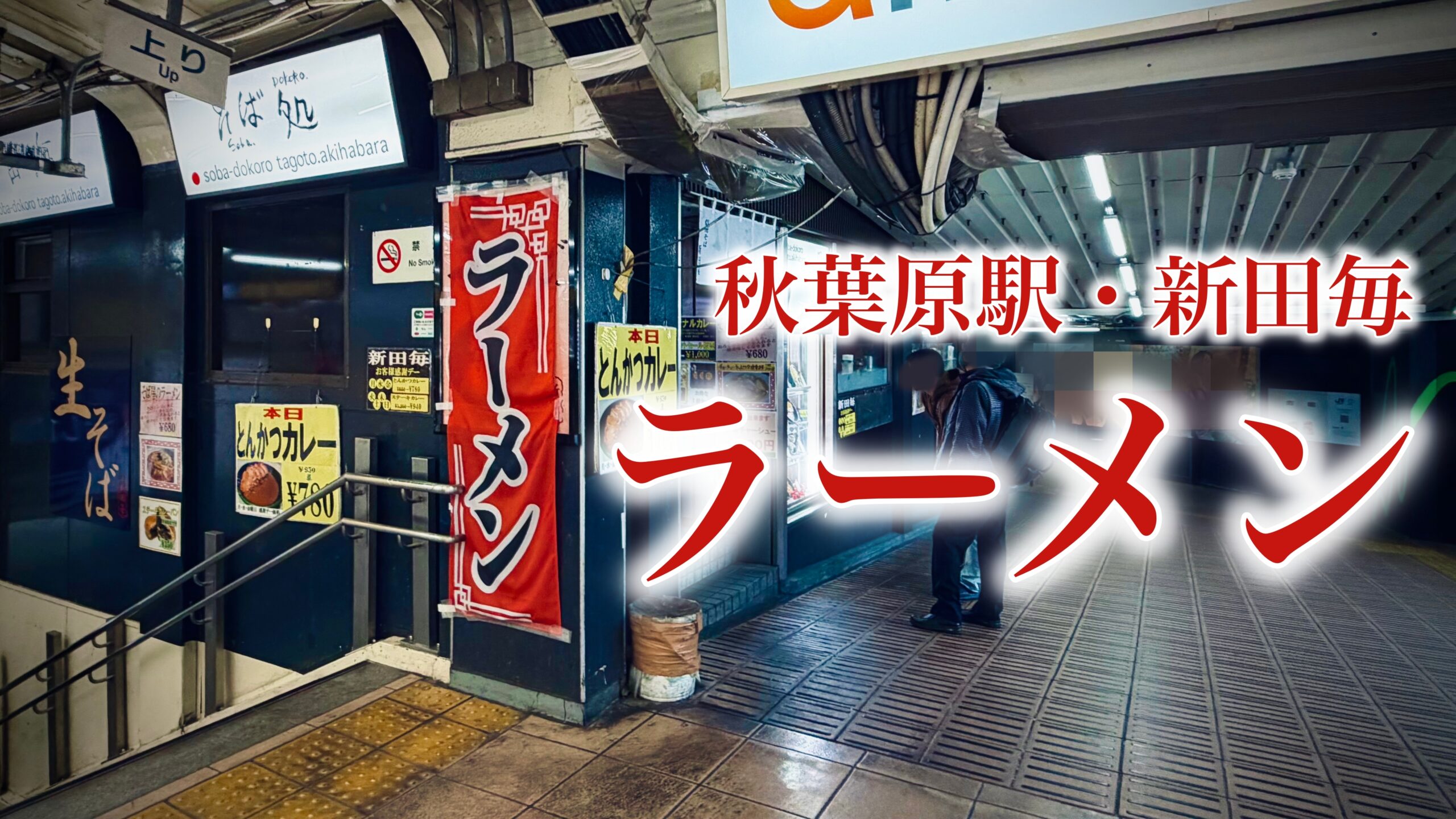 新田毎のラーメンは美味いのか：秋葉原駅ホームで味わうラーメンの正直レビュー