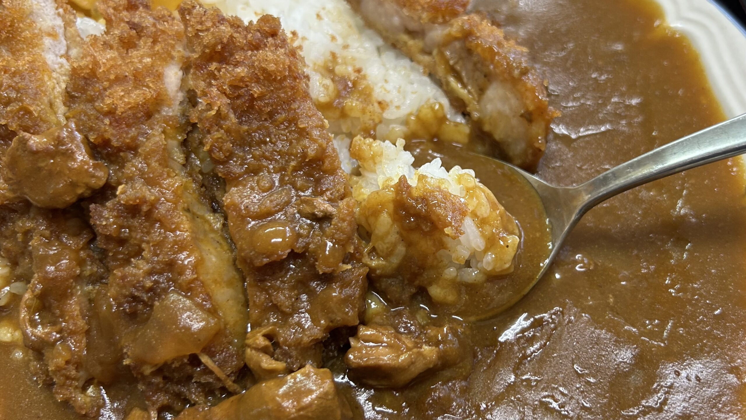見た目は最後まで怖かったけど…カツカレーは美味かった
