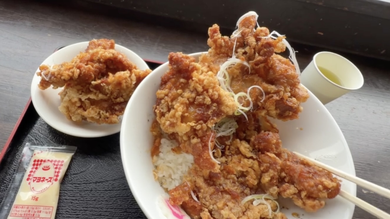 見られなかった富士山を唐揚げ丼で回収する